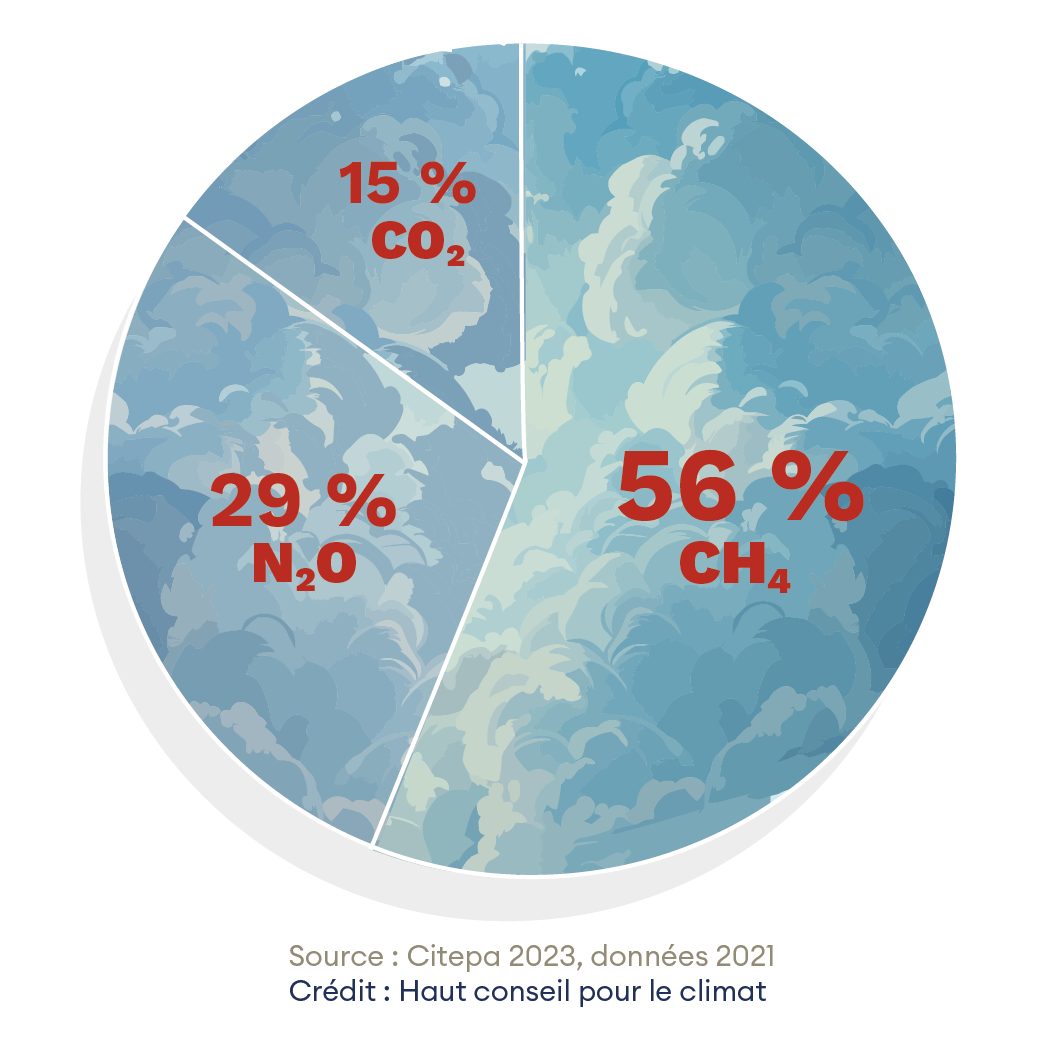 Ressources pédagogiques - Haut Conseil pour le climat