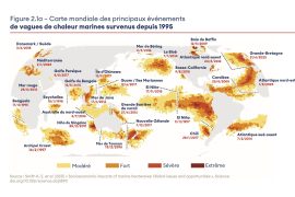 Ressources pédagogiques - Haut Conseil pour le climat